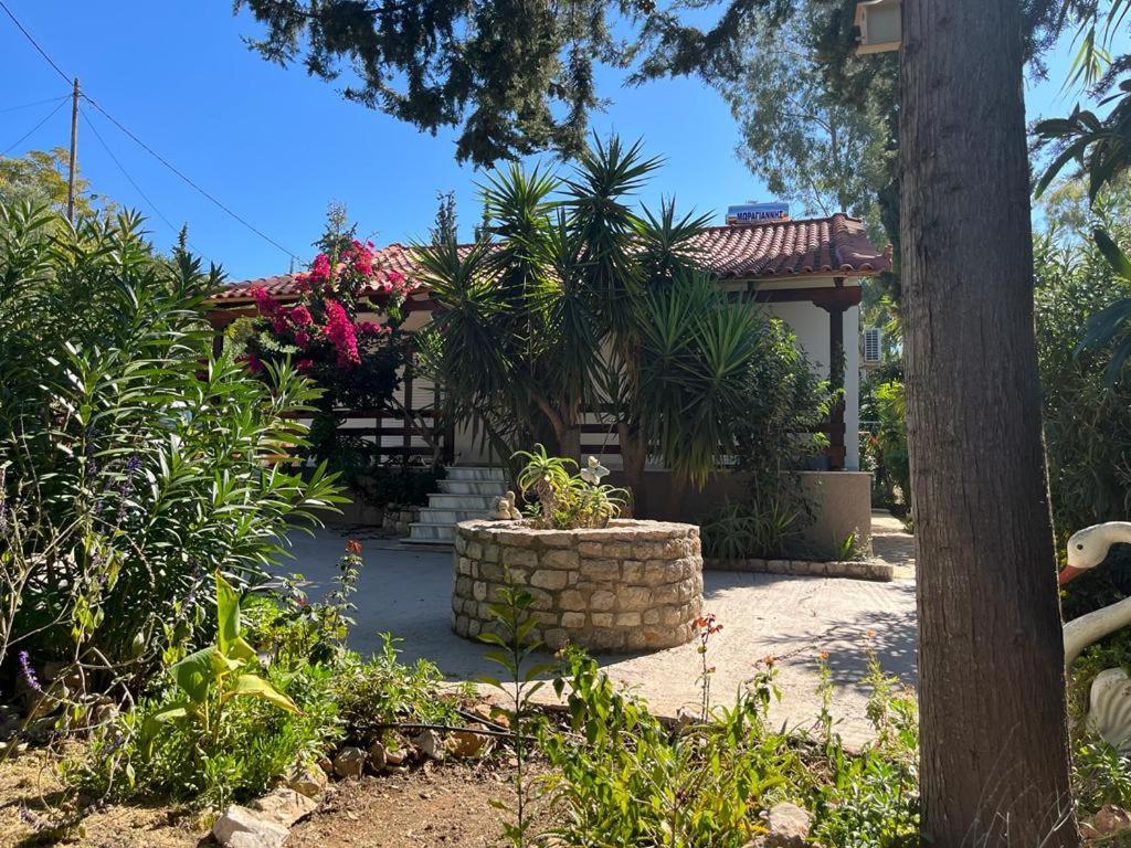 Gialova Garden Bungalow Esterno foto